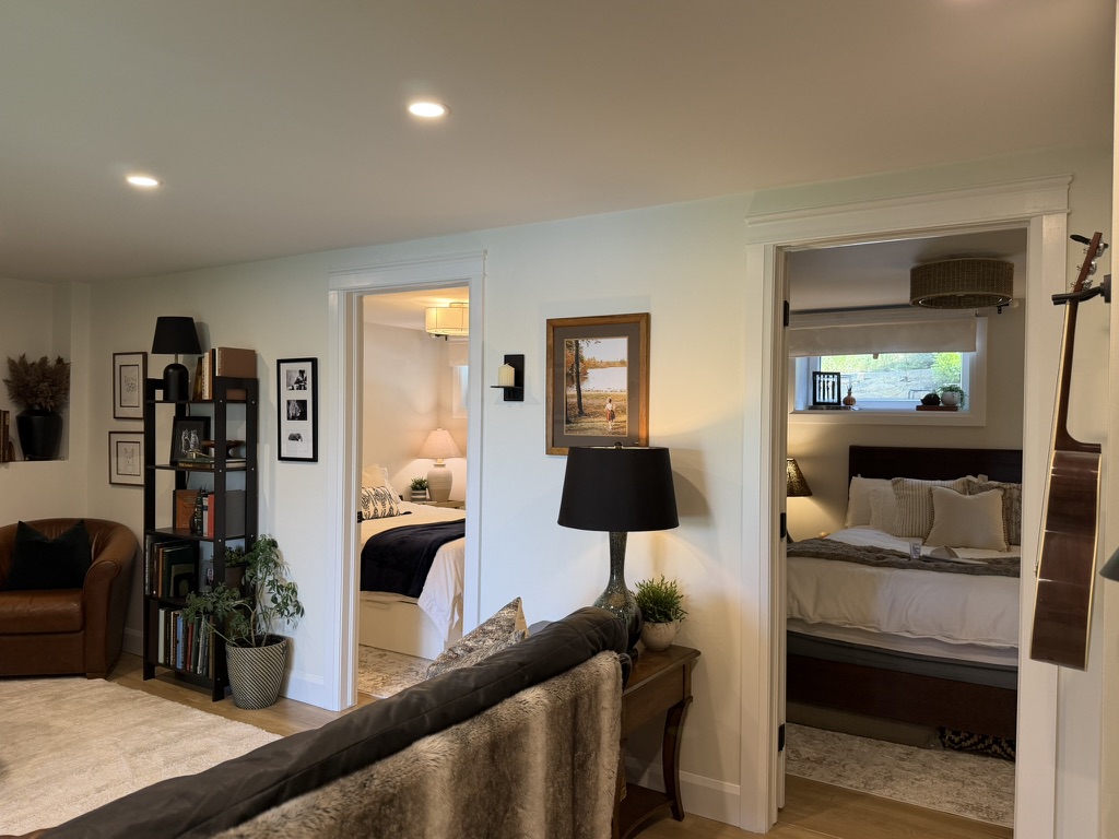 Basement Renovation 